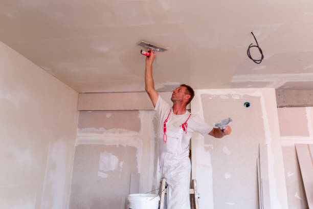 Best Custom Drywall Designs  in Pittsburg, TX