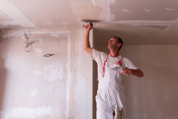 Best Ceiling Drywall Installation  in Pittsburg, TX